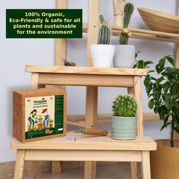 Prospire 5kg Cocopeat Block placed on a wooden shelf with potted plants and gardening tools.