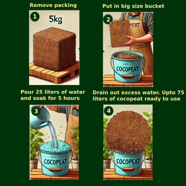 Step-by-step process of expanding a 5kg Prospire Cocopeat Block in water to create a fluffy growing medium.
