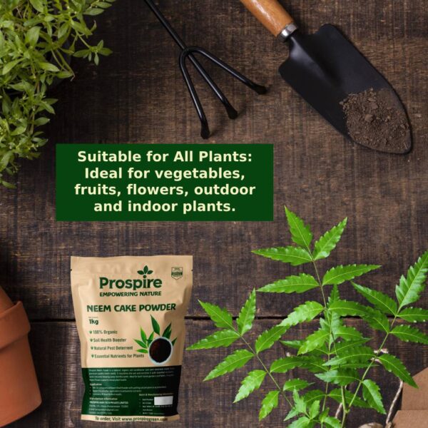 Suitable for all type of garden